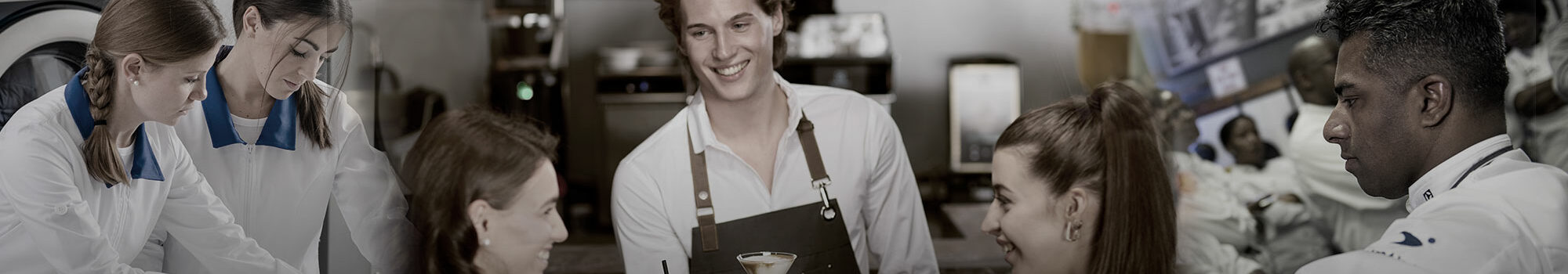 Electrolux Promo banner