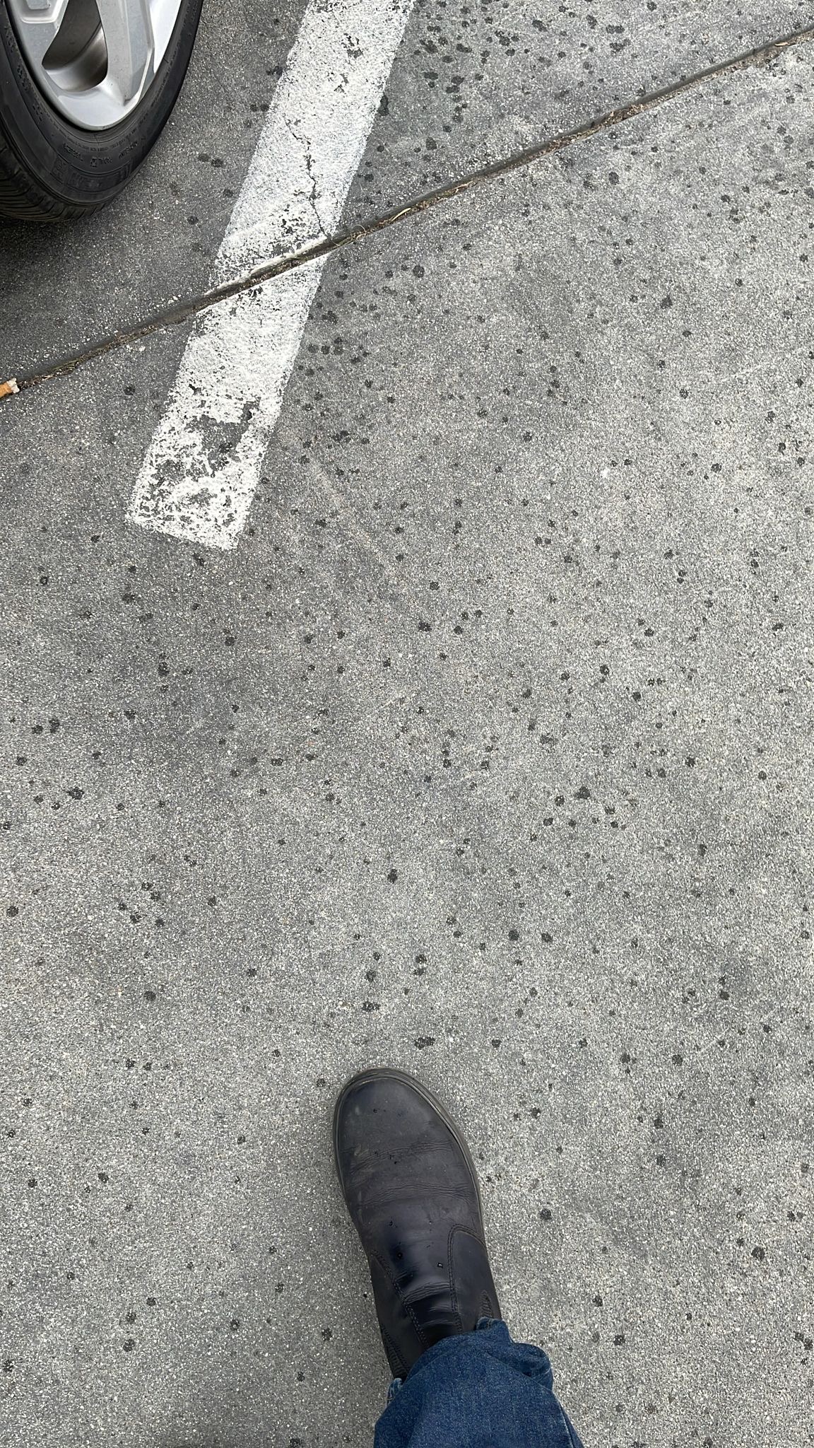 Photo by Sten Ulfsson