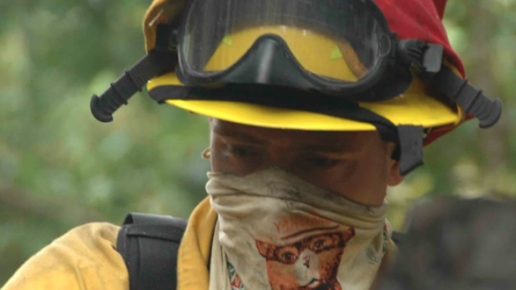 Photo Credit: Creative Commons License Date: 2016 Source: https://pixabay.com/