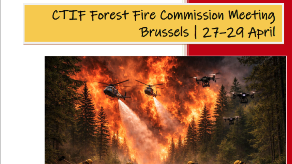 Screenshot of the program folder. 